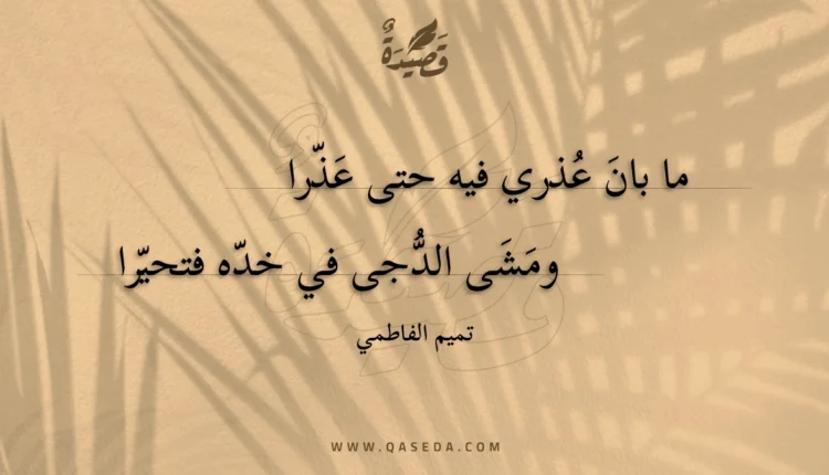 قصيدة ما بان عذري فيه حتى عذرا