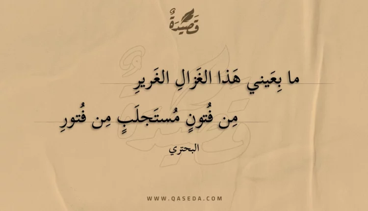 قصيدة ما بعيني هذا الغزال الغرير