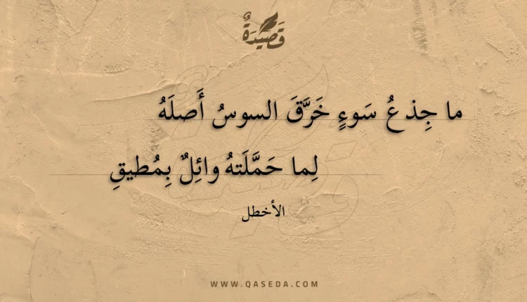 قصيدة ما جذع سوء خرق السوس أصله