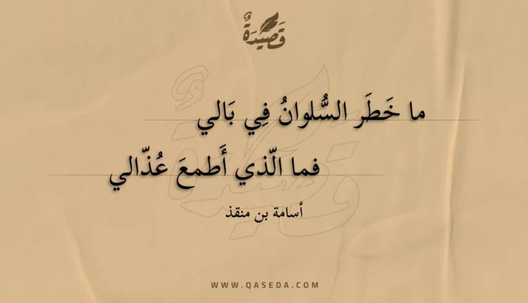 قصيدة ما خطر السلوان في بالي