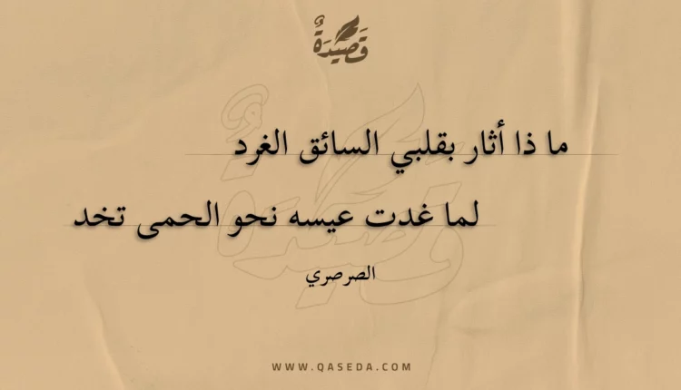 قصيدة ما ذا أثار بقلبي السائق الغرد