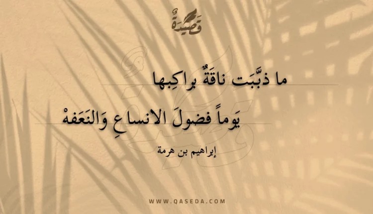 قصيدة ما ذببت ناقة براكبها
