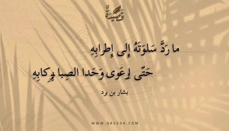 قصيدة ما رد سلوته إلى إطرابه