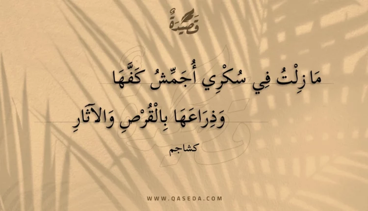 قصيدة ما زلت في سكري أجمش كفها
