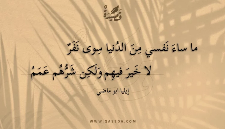 قصيدة ما ساء نفسي من الدنيا سوى نفر