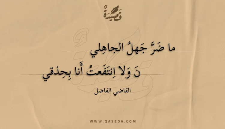 قصيدة ما ضر جهل الجاهلي