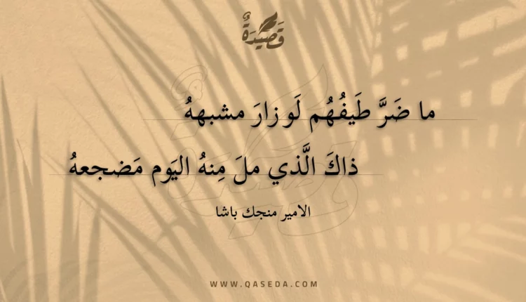 قصيدة ما ضر طيفهم لو زار مشبهه