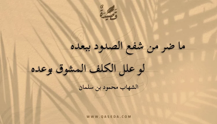 قصيدة ما ضر من شفع الصدود ببعده