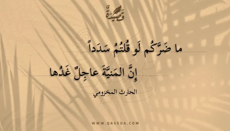 قصيدة ما ضركم لو قلتم سددا