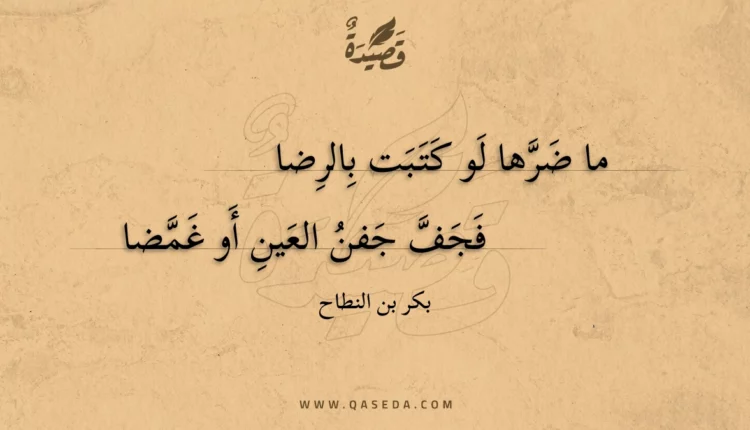 قصيدة ما ضرها لو كتبت بالرضا