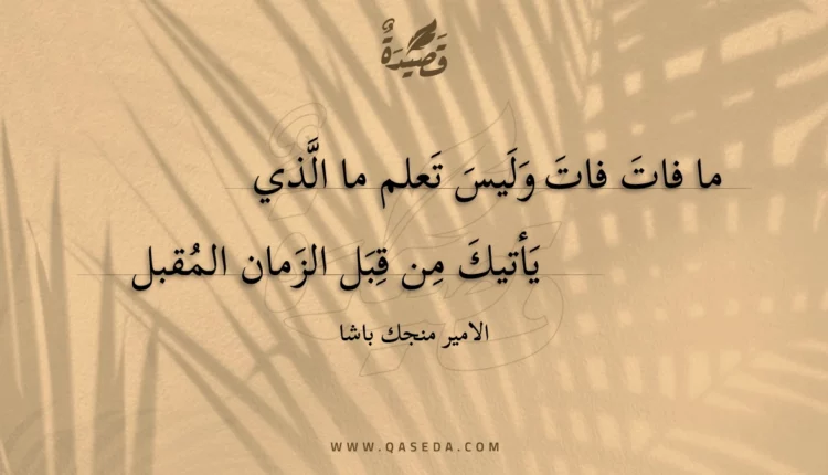 قصيدة ما فات فات وليس تعلم ما الذي