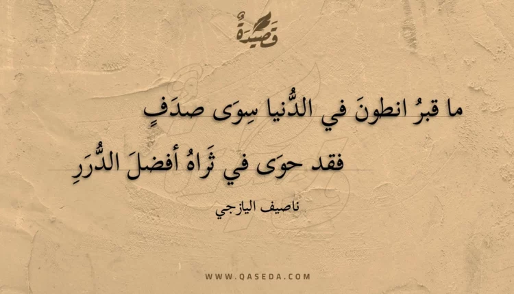 قصيدة ما قبر انطون في الدنيا سوى صدف