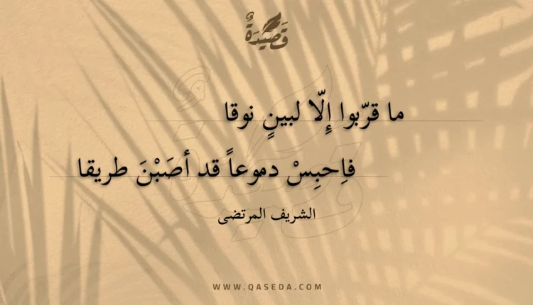 قصيدة ما قربوا إلا لبين نوقا