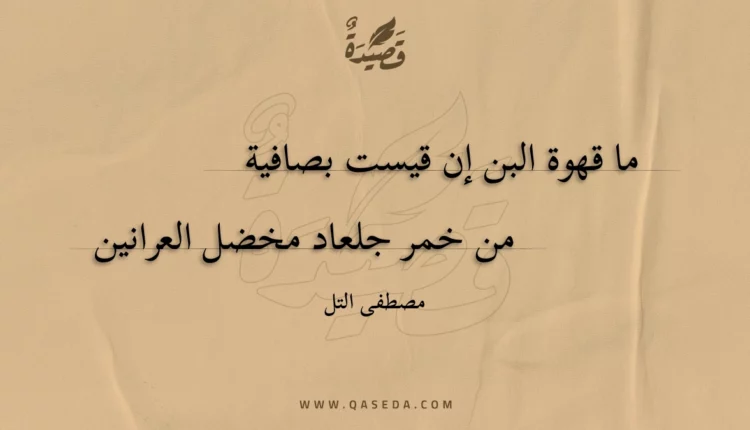 قصيدة ما قهوة البن إن قيست بصافية