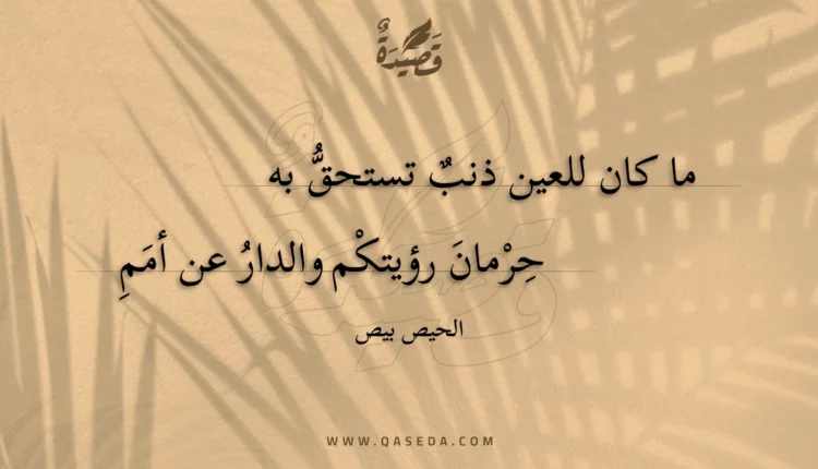 قصيدة ما كان للعين ذنب تستحق به
