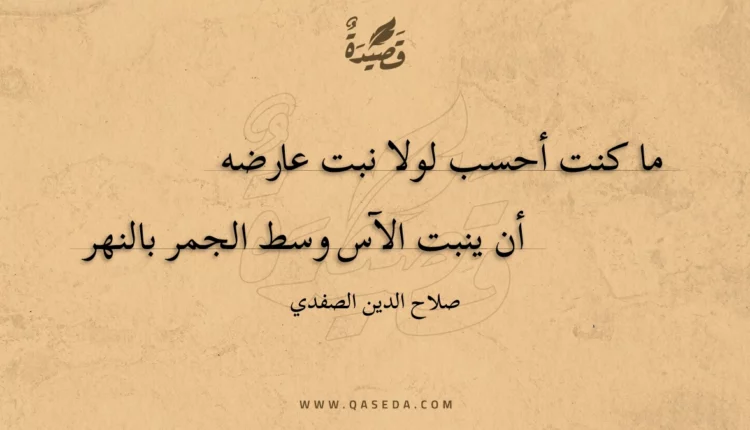 قصيدة ما كنت أحسب لولا نبت عارضه