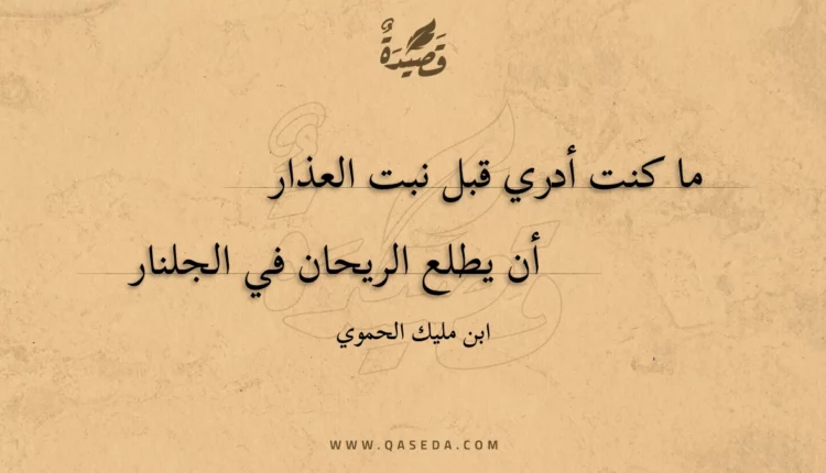 قصيدة ما كنت أدري قبل نبت العذار