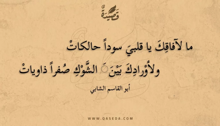 قصيدة ما لآفاقك يا قلبي سودا حالكات