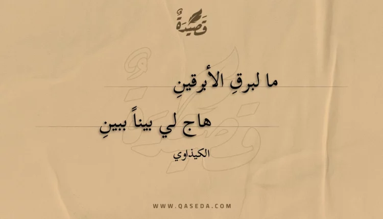 قصيدة ما لبرق الأبرقين