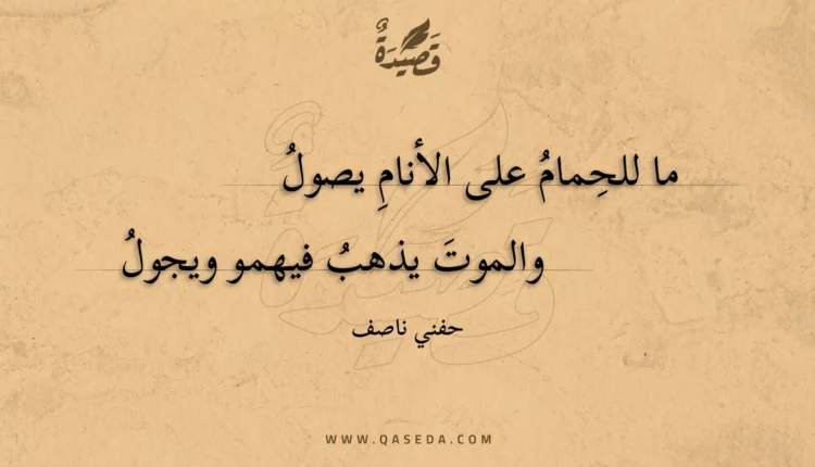 قصيدة ما للحمام على الأنام يصول