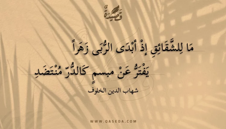 قصيدة ما للشقائق إذ أبدى الربى زهرا