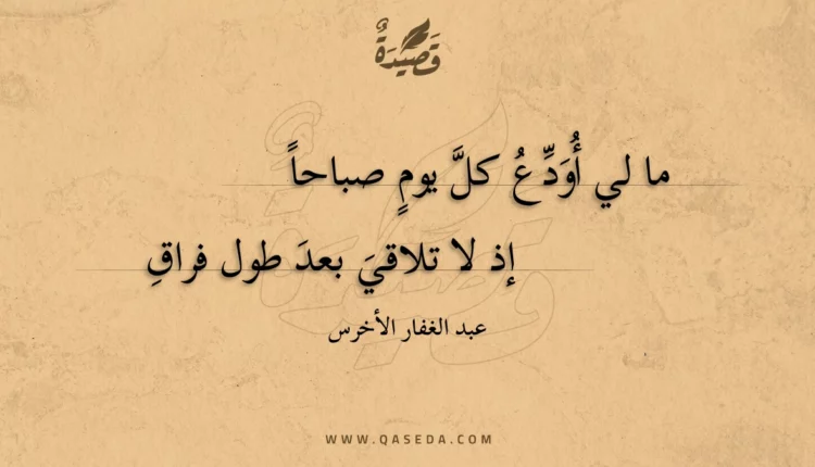 قصيدة ما لي أودع كل يوم صباحا
