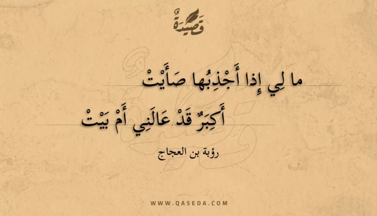 قصيدة ما لي إذا أجذبها صأيت