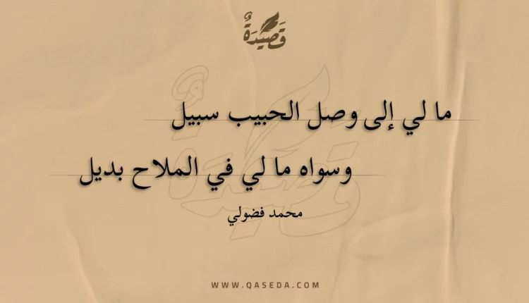 قصيدة ما لي إلى وصل الحبيب سبيل