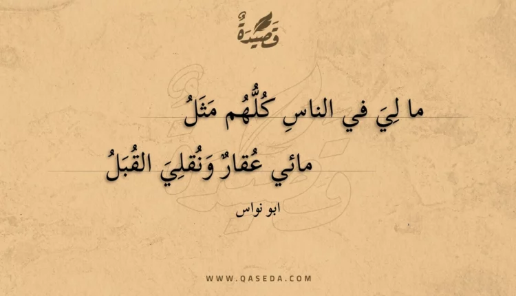 قصيدة ما لي في الناس كلهم مثل