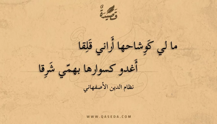 قصيدة ما لي كوشاحها أراني قلقا