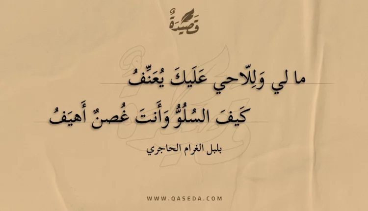 قصيدة ما لي وللاحي عليك يعنف