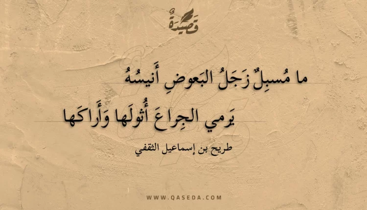 قصيدة ما مسبل زجل البعوض أنيسه