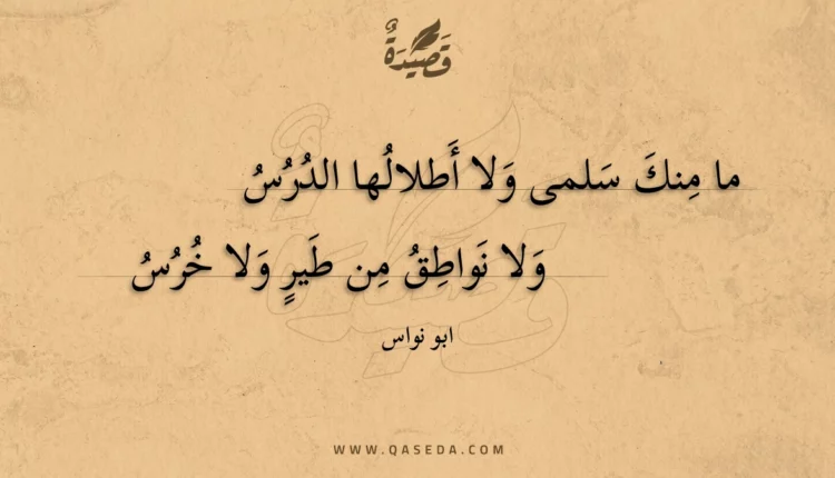 قصيدة ما منك سلمى ولا أطلالها الدرس