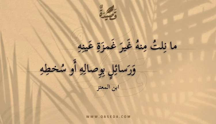 قصيدة ما نلت منه غير غمزة عينه