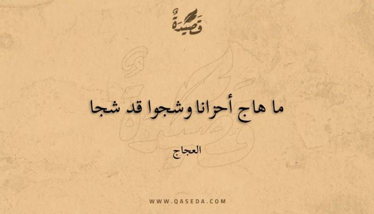قصيدة ما هاج أحزانا وشجوا قد شجا