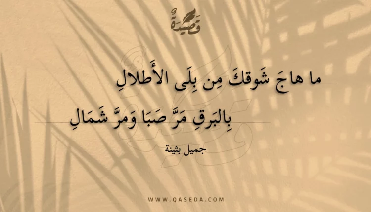 قصيدة ما هاج شوقك من بلى الأطلال