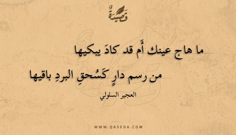 قصيدة ما هاج عينك أَم قد كاد يبكيها