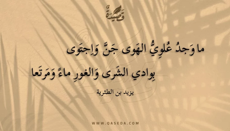 قصيدة ما وجد علوي الهوى جن واجتوى