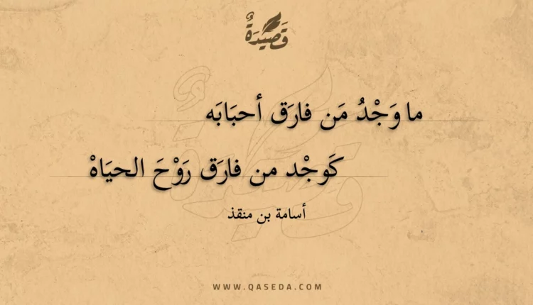 قصيدة ما وجد من فارق أحبابه