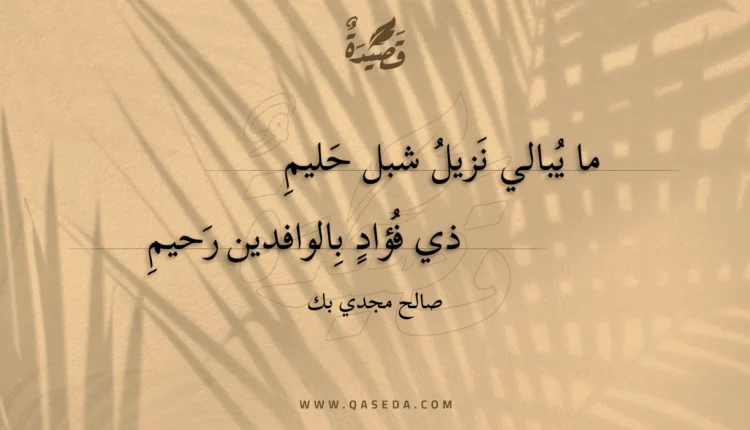 قصيدة ما يبالي نزيل شبل حليم
