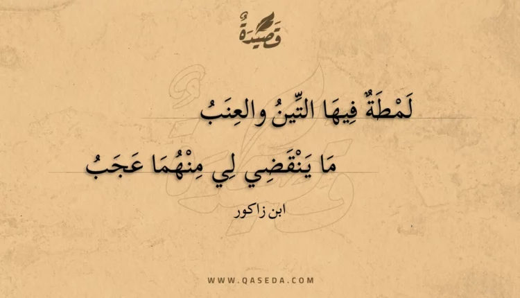 قصيدة ما ينقضي لي منهما عجب