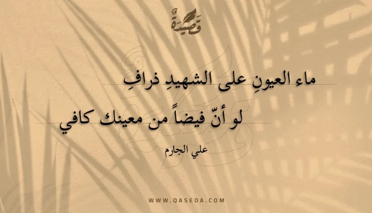 قصيدة ماء العيون على الشهيد ذراف