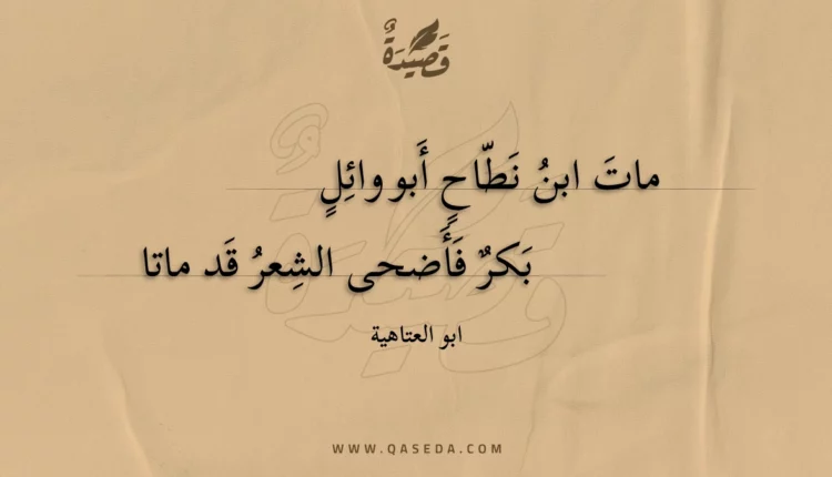 قصيدة مات ابن نطاح أبو وائل