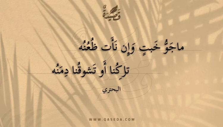 قصيدة ماجو خبت وإن نأت ظعنه