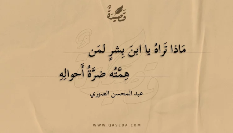 قصيدة ماذا تراه يا ابن بشر لمن