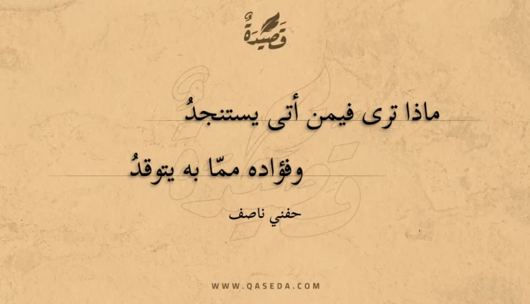 قصيدة ماذا ترى فيمن أتى يستنجد