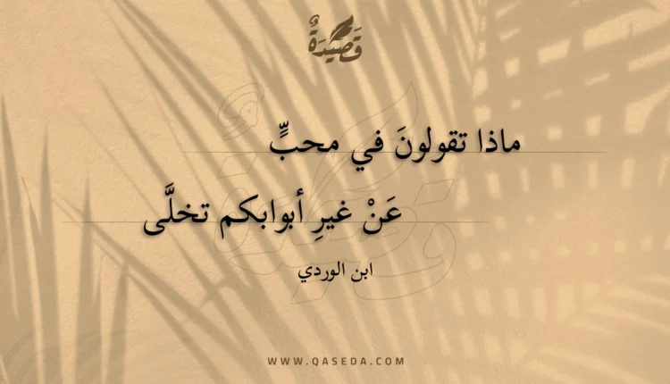قصيدة ماذا تقولون في محب