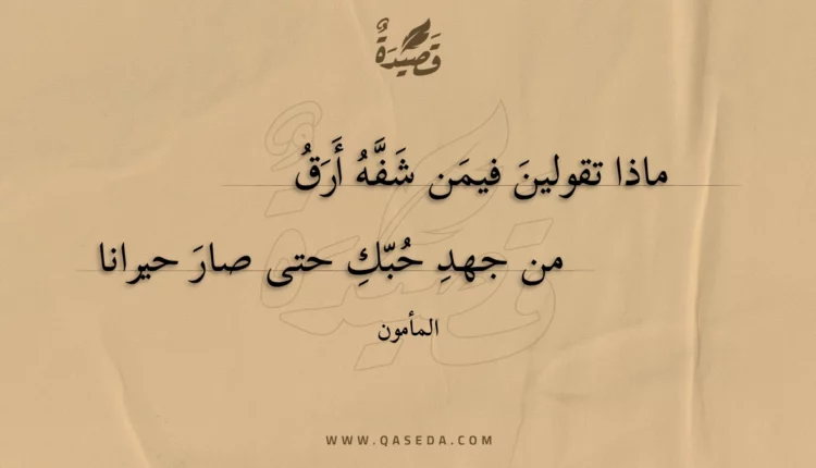 قصيدة ماذا تقولين فيمن شفه أرق