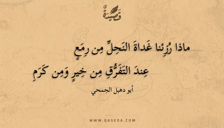 قصيدة ماذا رزئنا غداة النحل من رمع