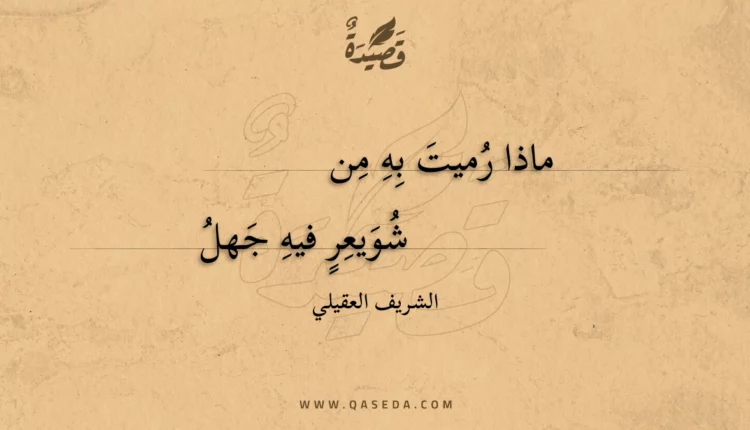 قصيدة ماذا رميت به من